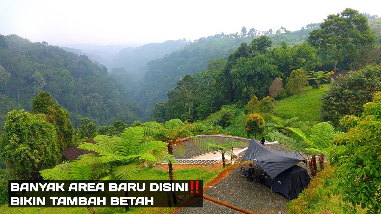 CAMPING KELUARGA DI AREA TERBARU & VIEW JUARA‼️PREMIUM AREA‼️ EL MANDE CAMPING GROUND | PANCAWATI