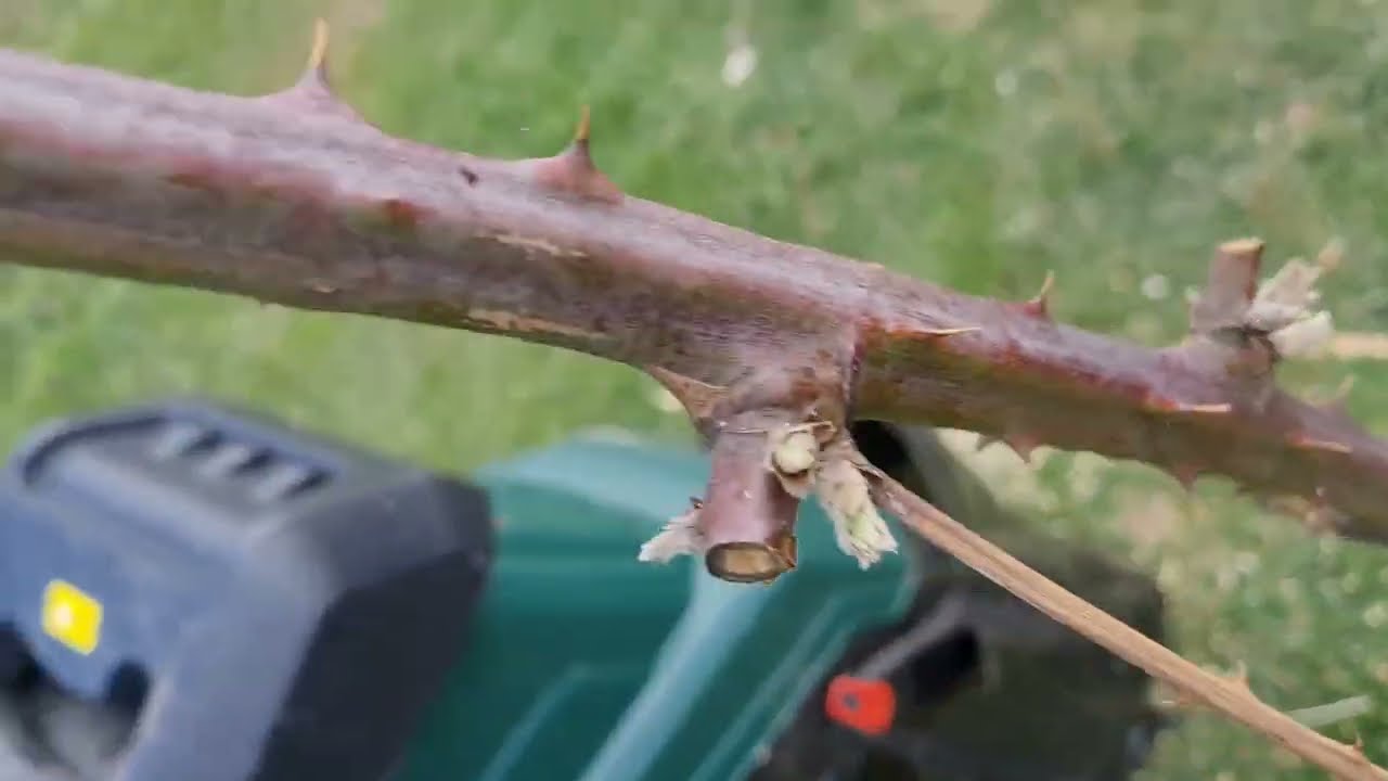 Igračka za baštovane - kako se rešiti granja i dobiti malč za tili čas