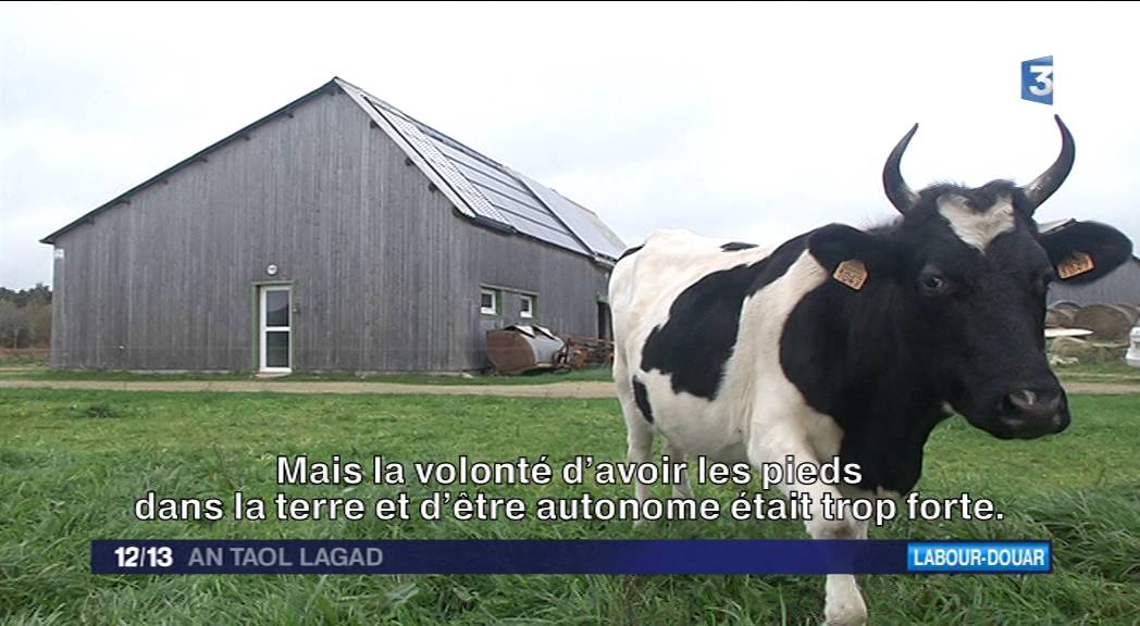Leur ferme du Morbihan est 100 % autonome  - VOST