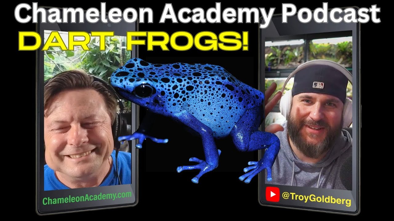 Caring for Dart Frogs with Troy Goldberg