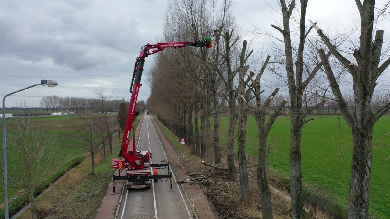 Snoeiwerk Boomrooierij Weijtmans Geertruidenberg december 2021