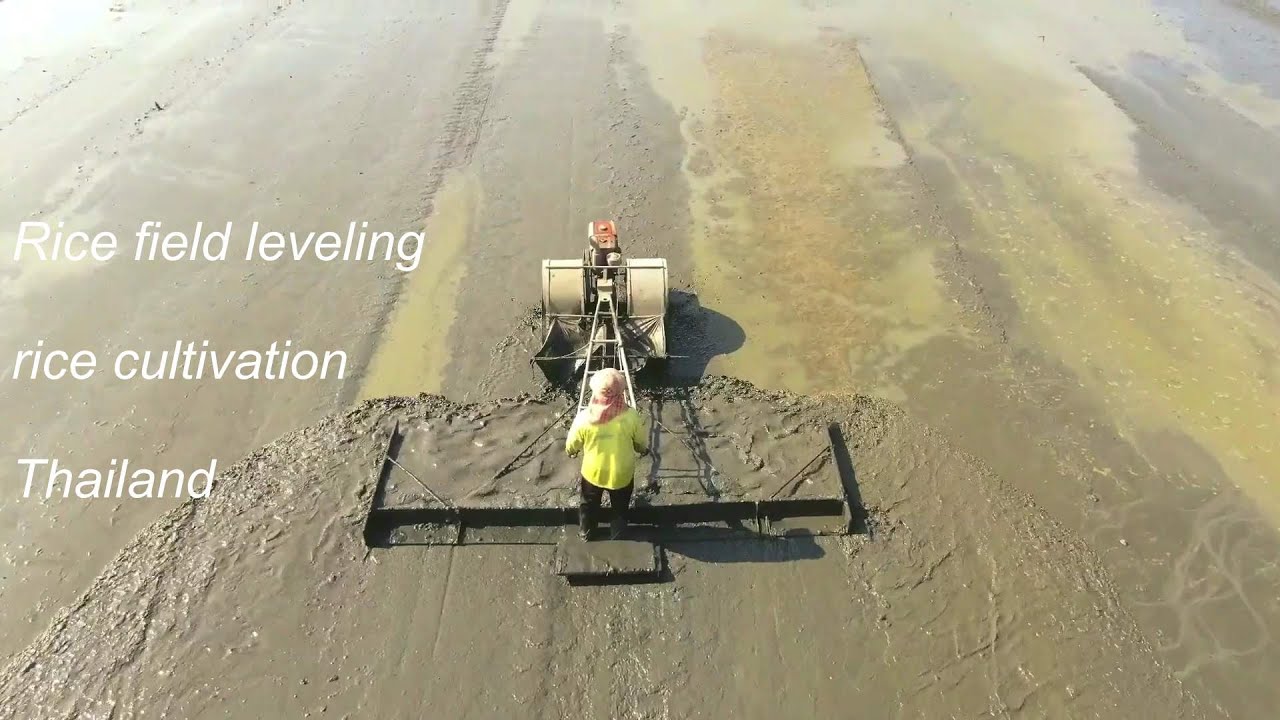 DJI Mavic Pro 2 Zoom Rice field leveling for rice cultivation in Thailand