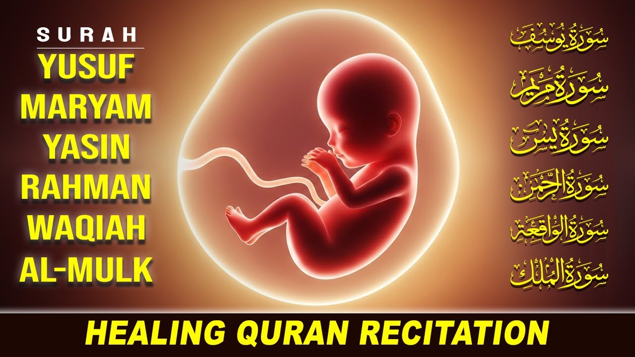 Quran For Pregnancy Recitation | surah YUSUF, surah MARYAM, surah YASIN, surah RAHMAN, surah WAQIAH