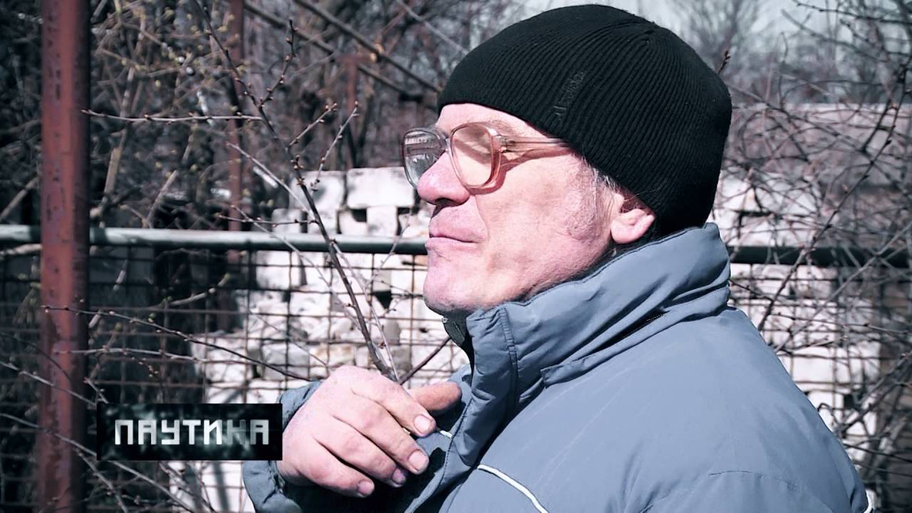 Паутина. Золотой газ. Журналистское расследование о деятельности Запорожгаза