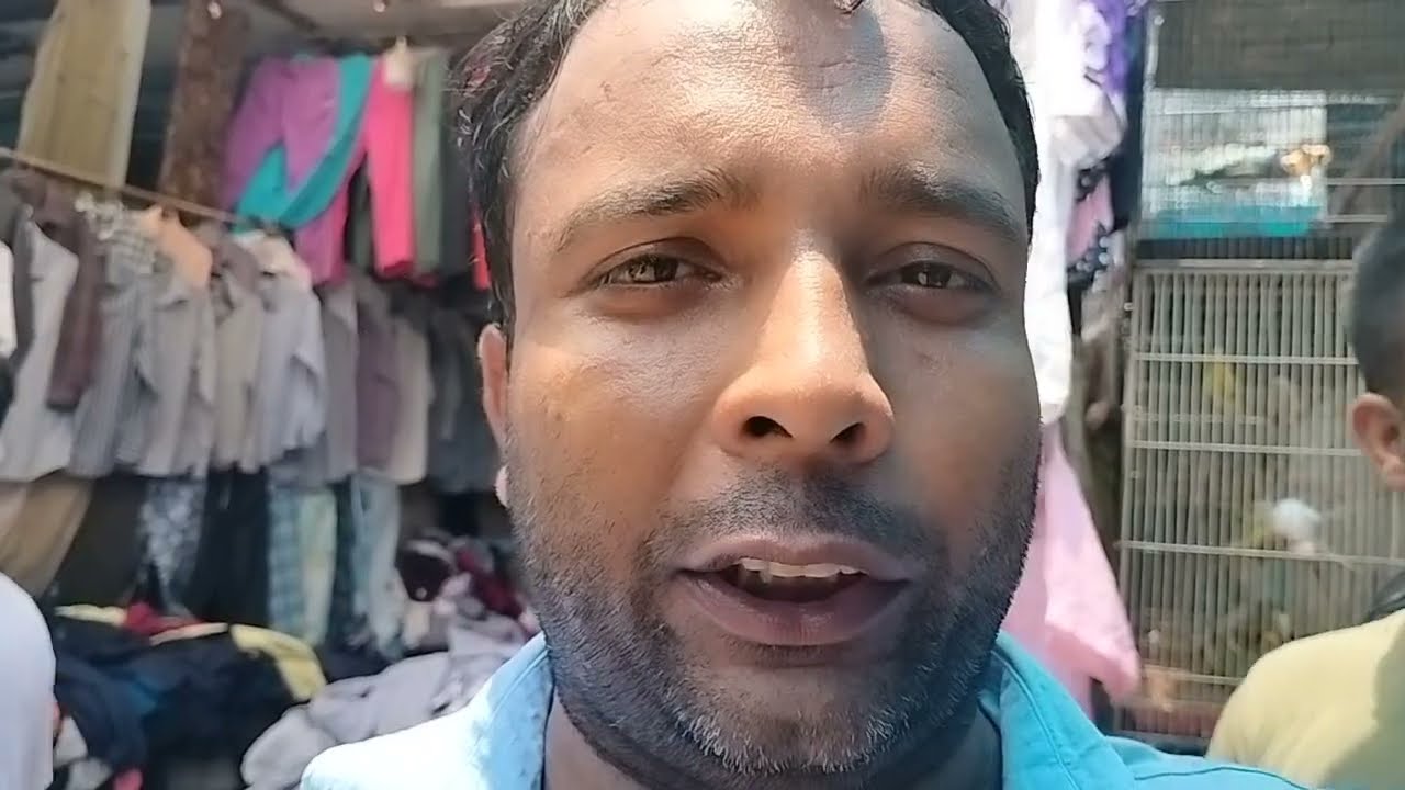 Indian kabutar Sale pigeons Jama Masjid Lal kile Saamne kabutar Market Delhi 6