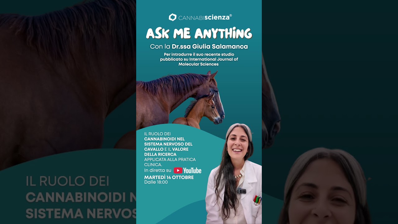 Cannabinoidi e comportamento nel cavallo con la Dr.ssa Salamanca #veterinaria #cavallo #horse #sec