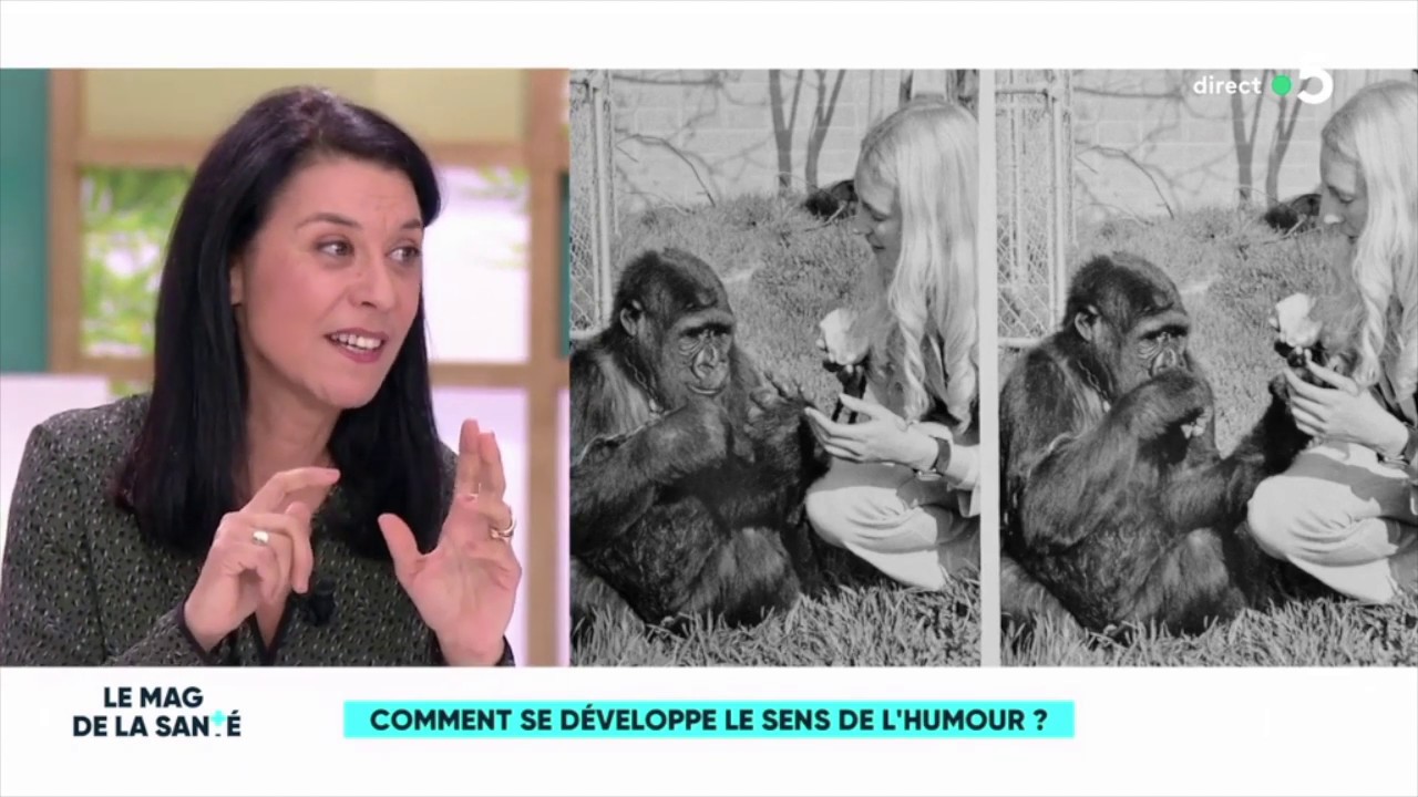 Comment se développe le sens de l'humour?