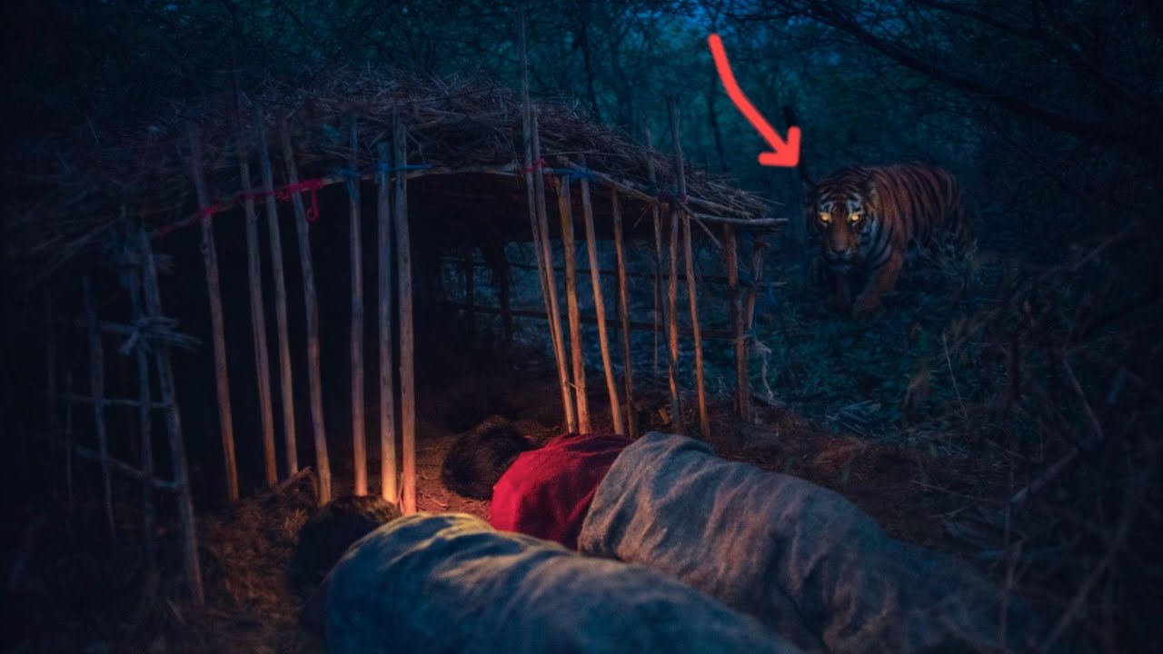 Building wood survival shelter in wildlands | Bushcraft & Campfire in jungle | 