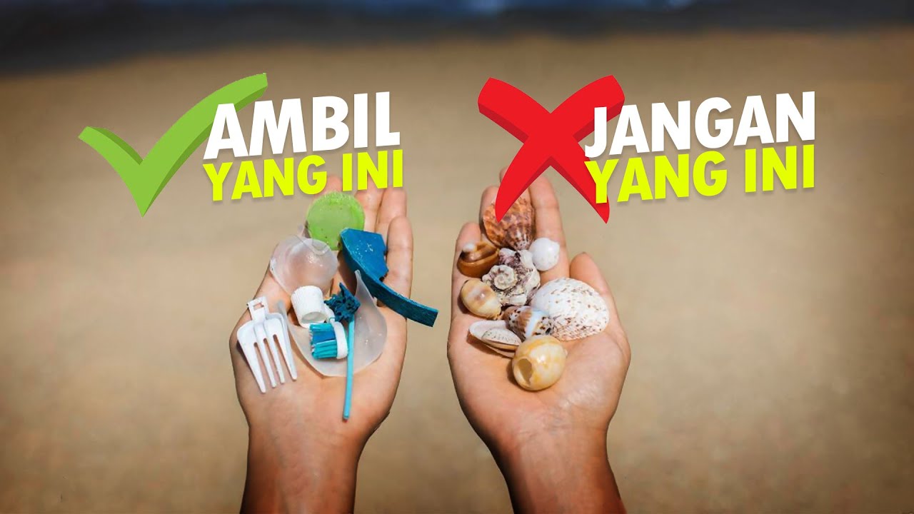 Menderita Karena Cinderamata - Kerang Laut #AlamSemenit