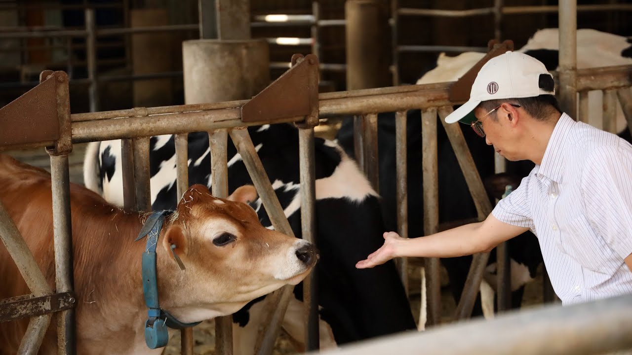 Smart Technology Applied to Livestock Production | Featured Course of M.S. in Global ATGS, NTU