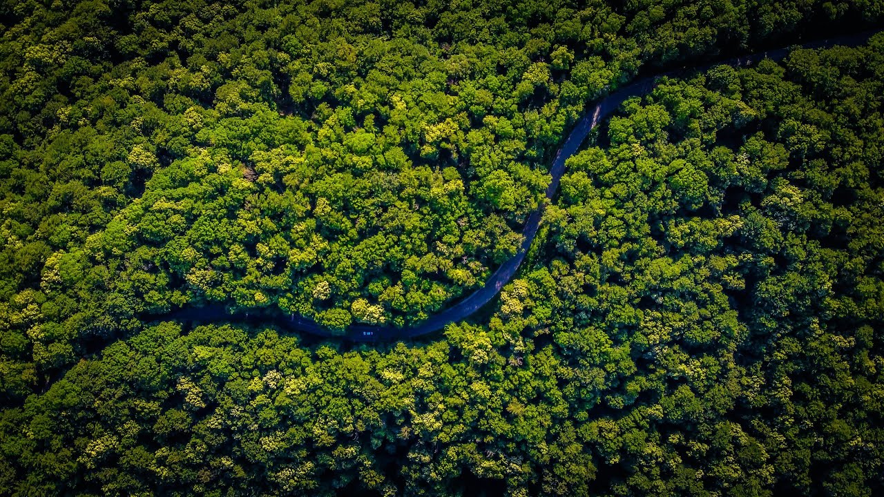 Les Parcs Nationaux Géorgiens - Le long des eaux de Kolkhetie (2022)