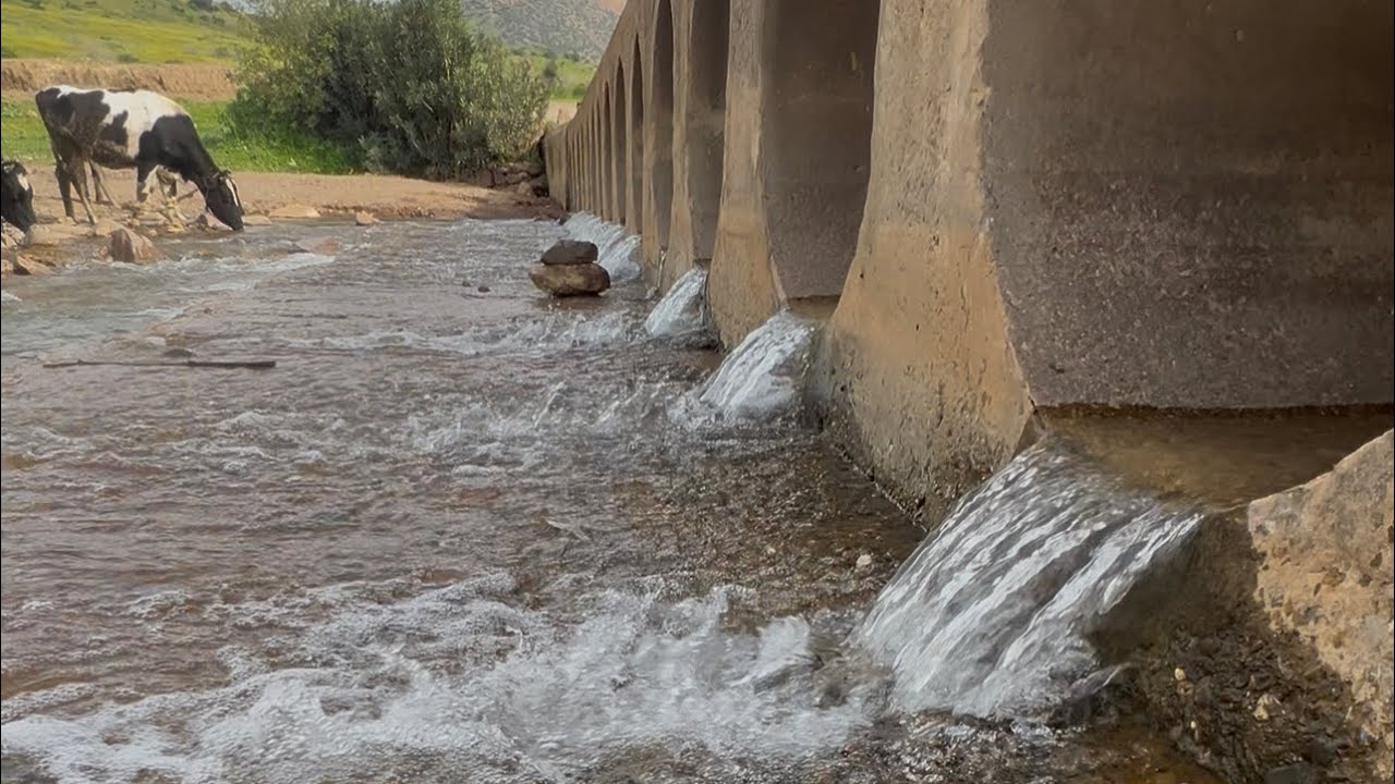 نفسية محتاجة علاج طبيعي 🫶🏻#واد بهت #الخميسات