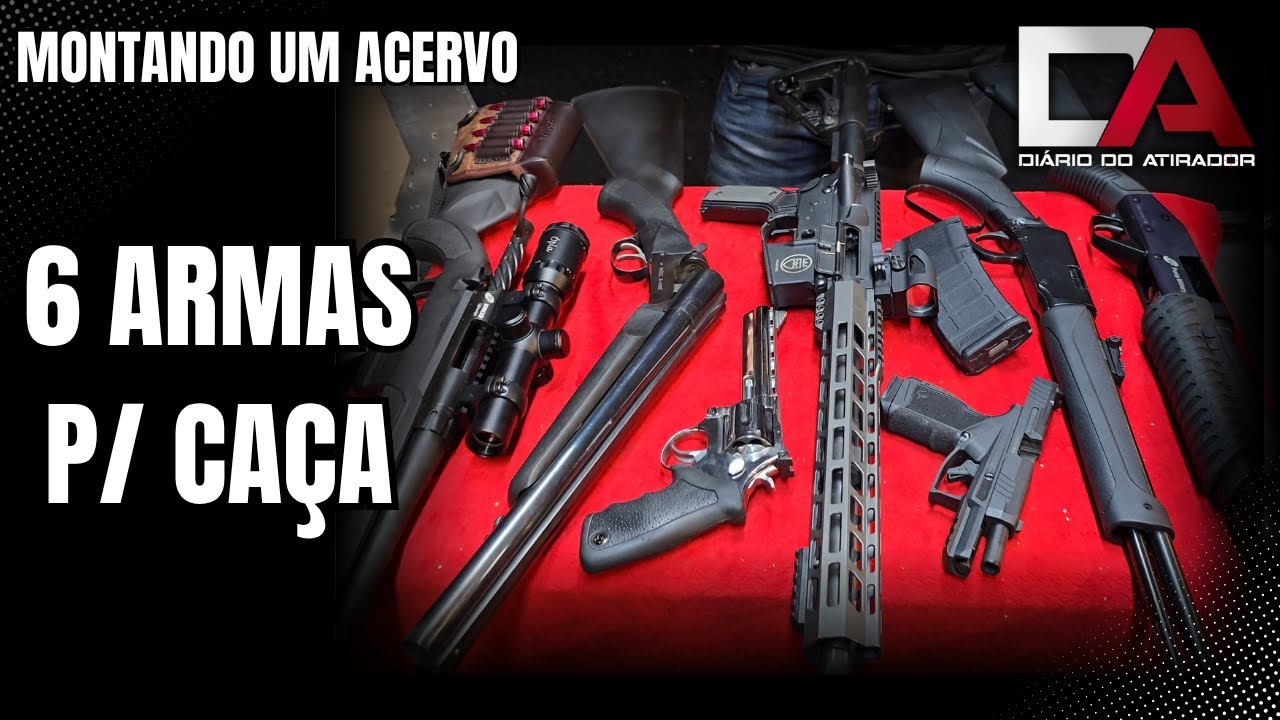 6 Armas para Ca&ccedil;a - Montando um Acervo em 2025
