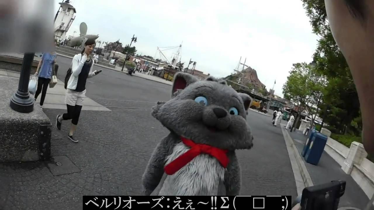 一緒が良～い‼サンパー・ベルリオーズ・マリーちゃん・ドナルド４本詰め合わせ
