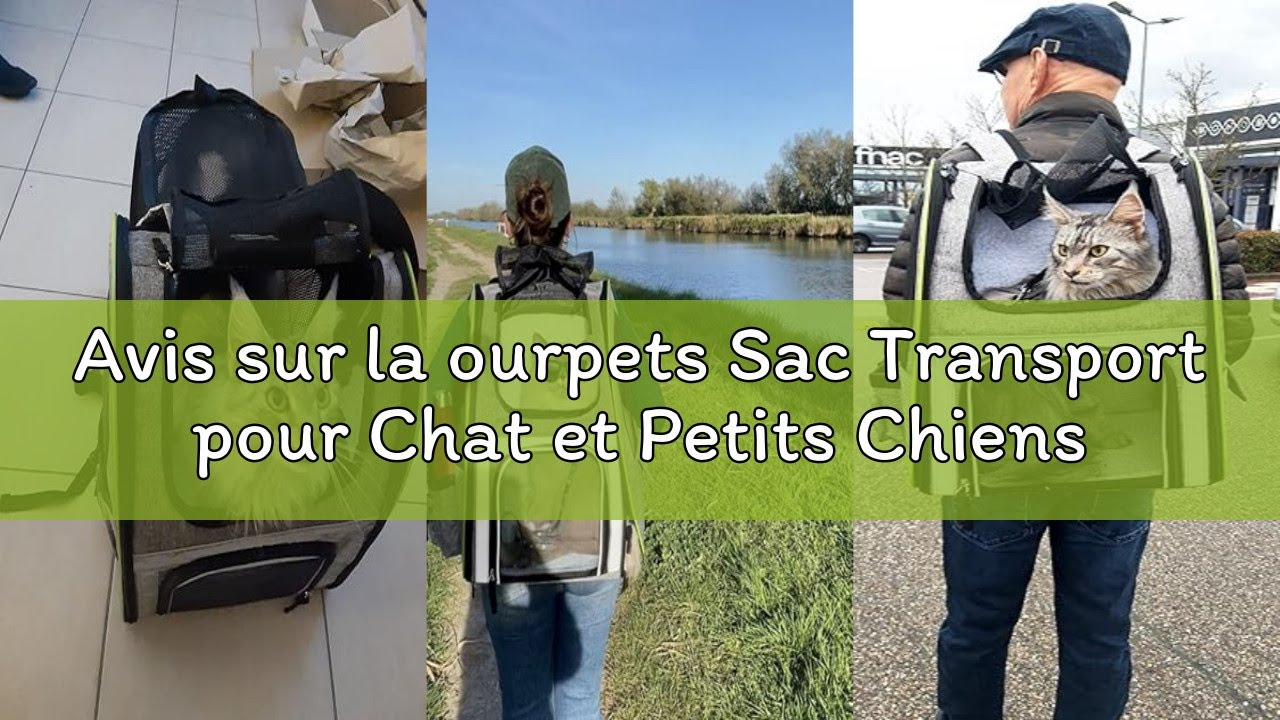 Avis sur la ourpets Sac Transport pour Chat et Petits Chiens (Gris)