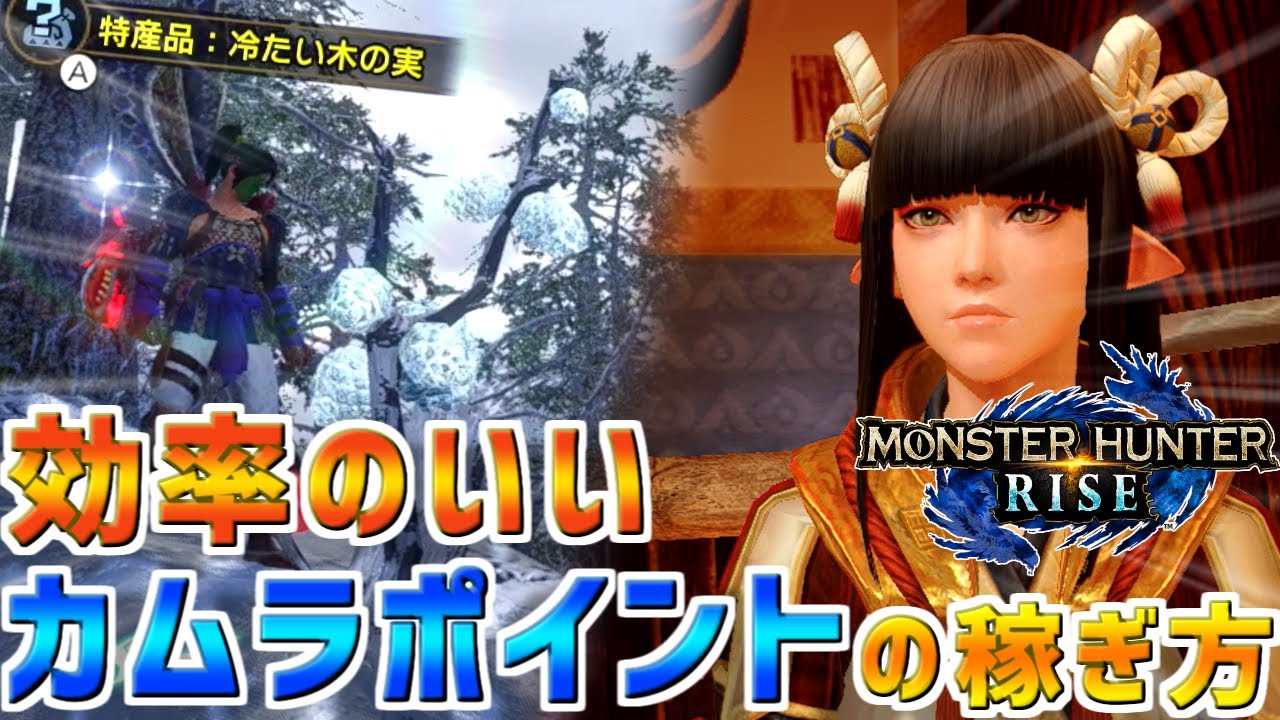 【モンハンライズ】時給20万ポイントオーバー！効率のいいカムラポイントの稼ぎ方の解説！アイテム現入手も夢じゃない！【MHRise モンスターハンター】