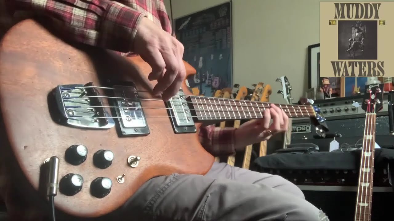 1973 Guild JS-II Bass | Muddy Waters - Deep Down In Florida #2