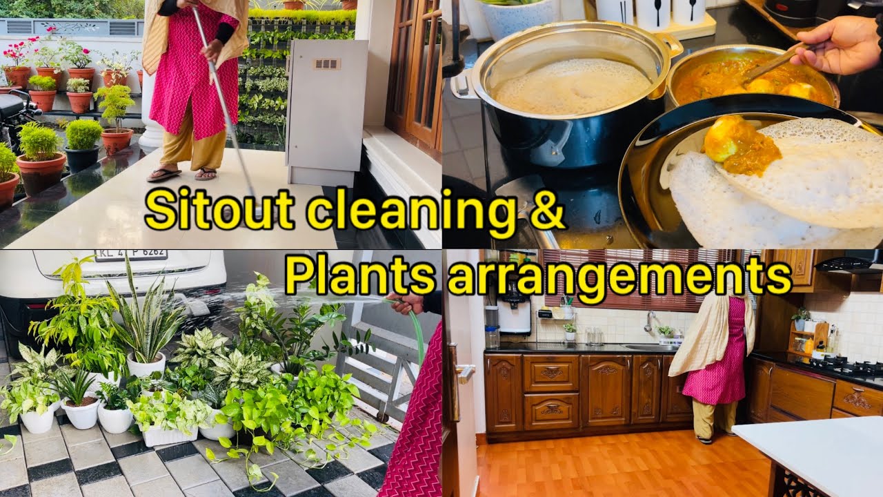 A day in my life | #sitout cleaning & plants arrangements 🪴| Subina Nishad