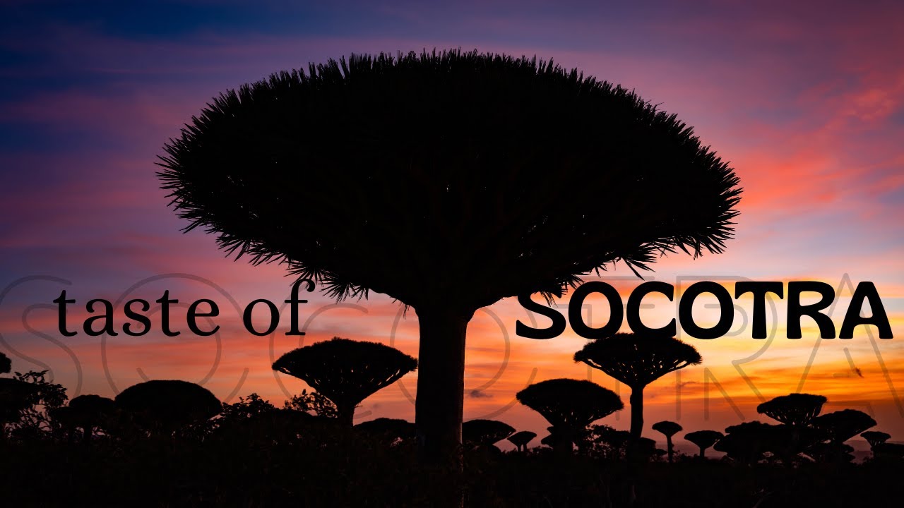 SOCOTRA I Taste Of I