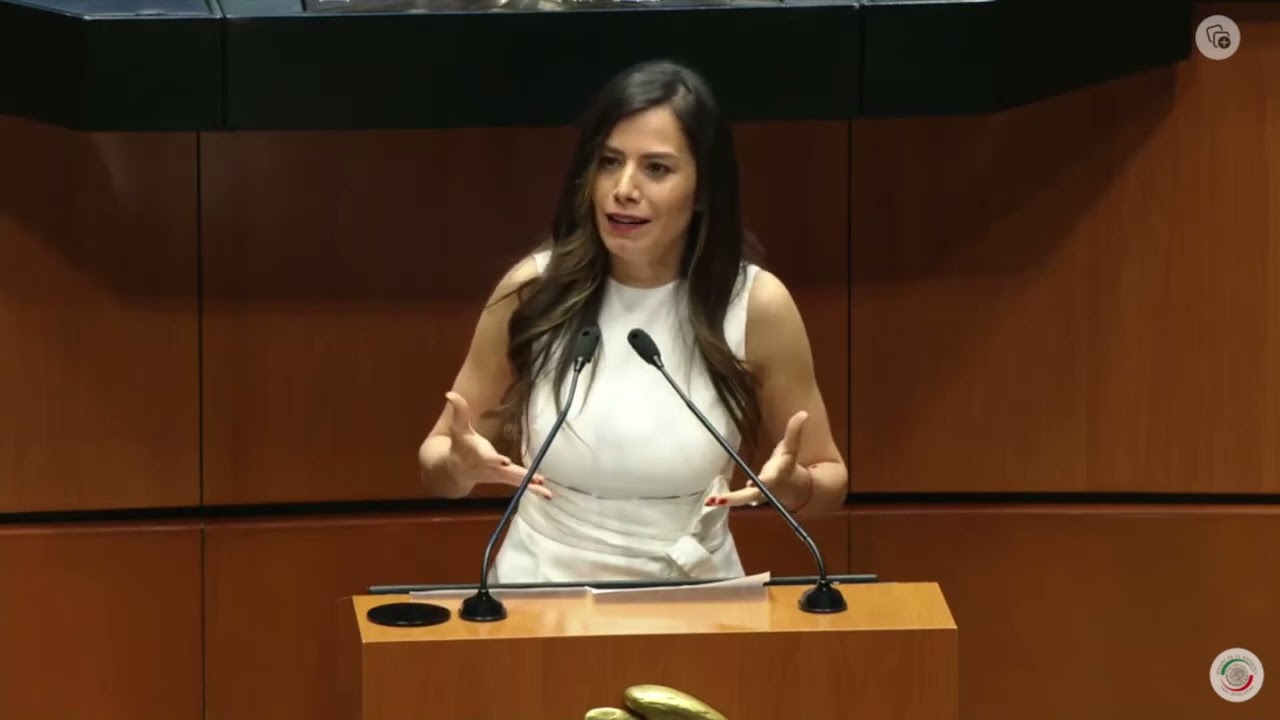 Verónica Delgadillo - Derecho al cuidado de personas con discapacidad