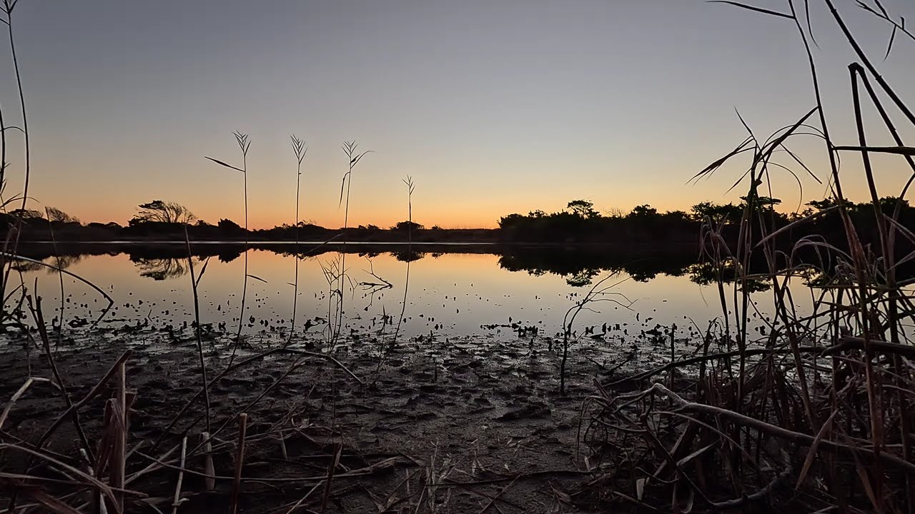 Sandpiper Pond Sunrise 20260119 0654: Nature Sounds and Visuals, Calming & Relaxing