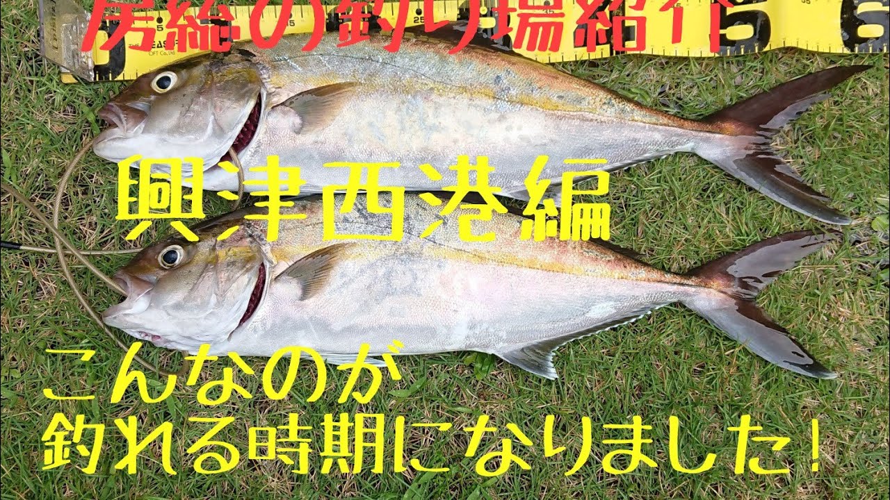 房総の釣り場紹介興津西港編