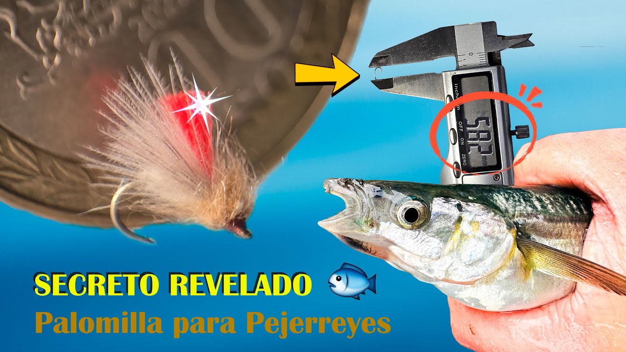 Aprende a atar la mosca que vuelve locos a los pejerreyes chilenos