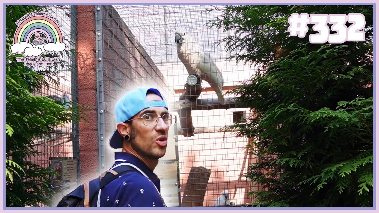 DIEREN ONTSNAPT 😱ZOO VELDHOVEN VLOG #332 #FAMILIEBROEDERS