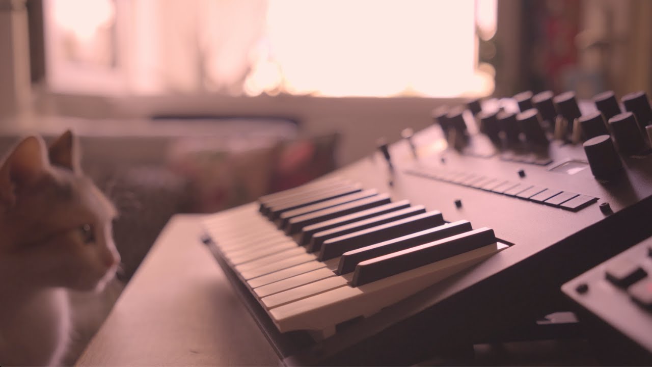 July - Digitone II - Ambient