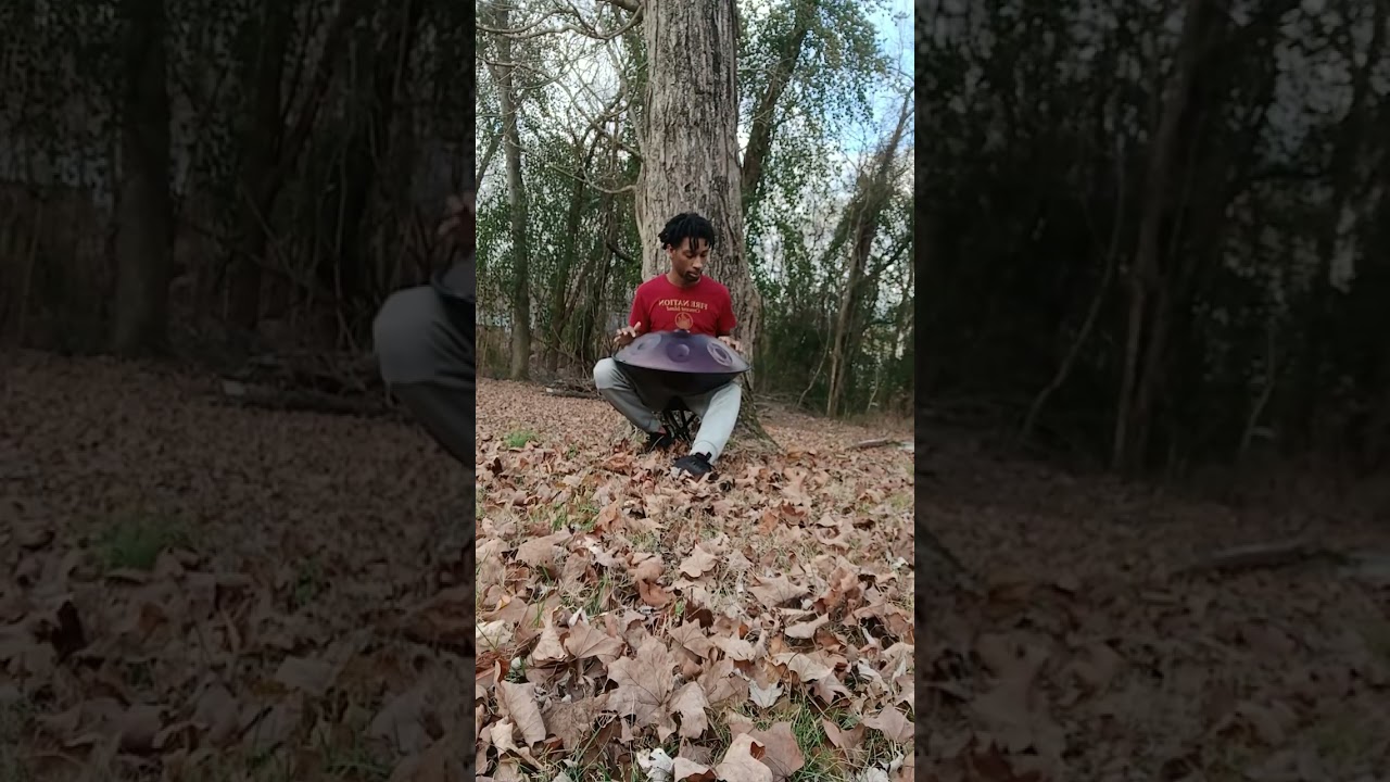 Handpan - Cardinal Man 