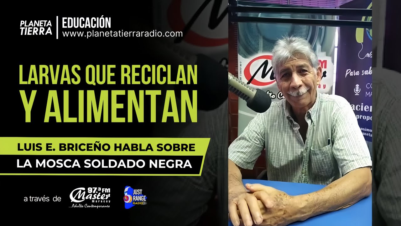 ¿Por qué criar larvas de Mosca Soldado Negra? | Entrevista con el Biólogo Luis E. Briceño C.