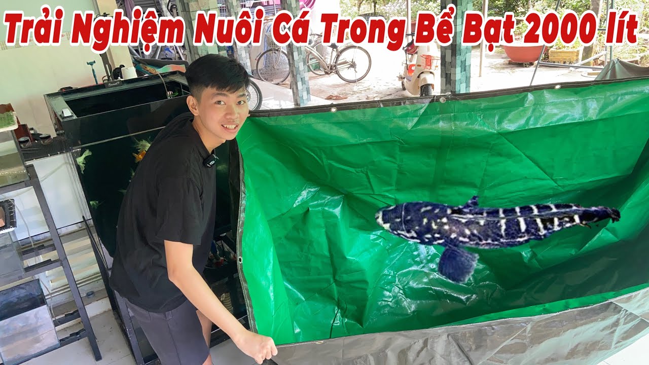 Trải Nghiệm Nu&ocirc;i C&aacute; Trong Bể Bạt 2000 l&iacute;t Nước | Thịnh Đạt