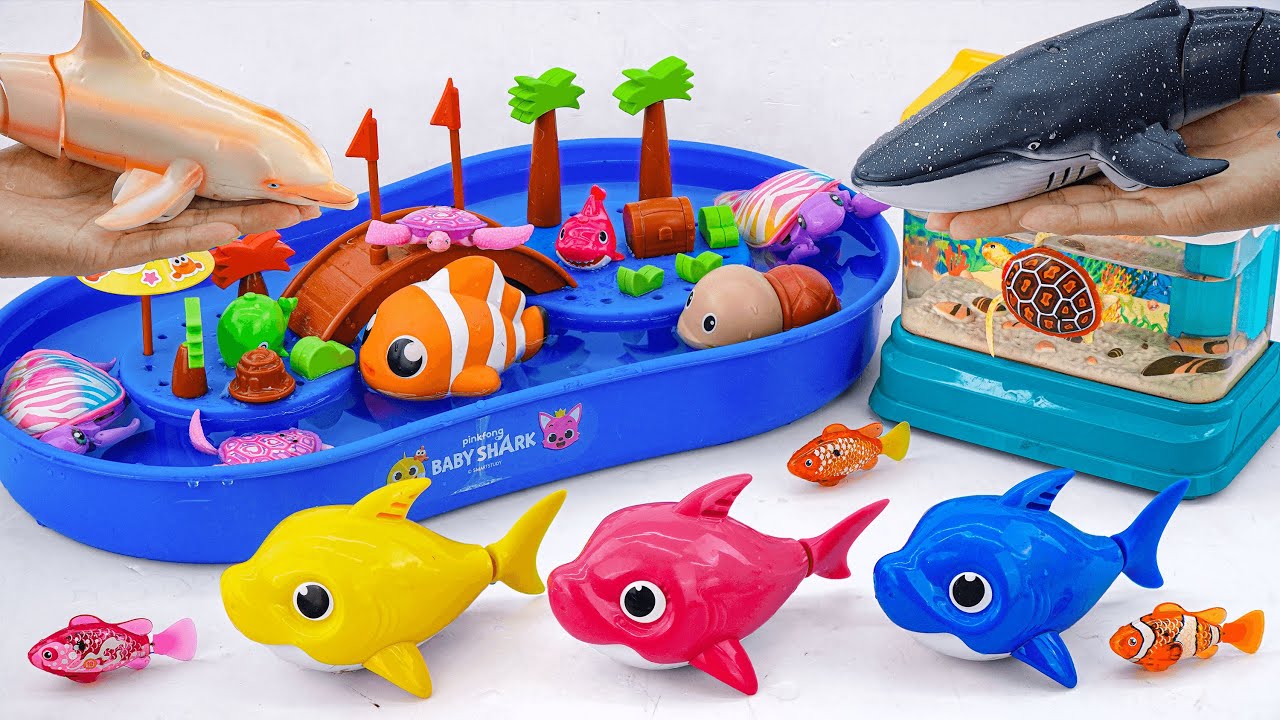 [Toy asmr] Crocodile & RC Shark & Baby Shark &Zuru Robo Alive Aquarium ASMR Satisfying with Unboxing