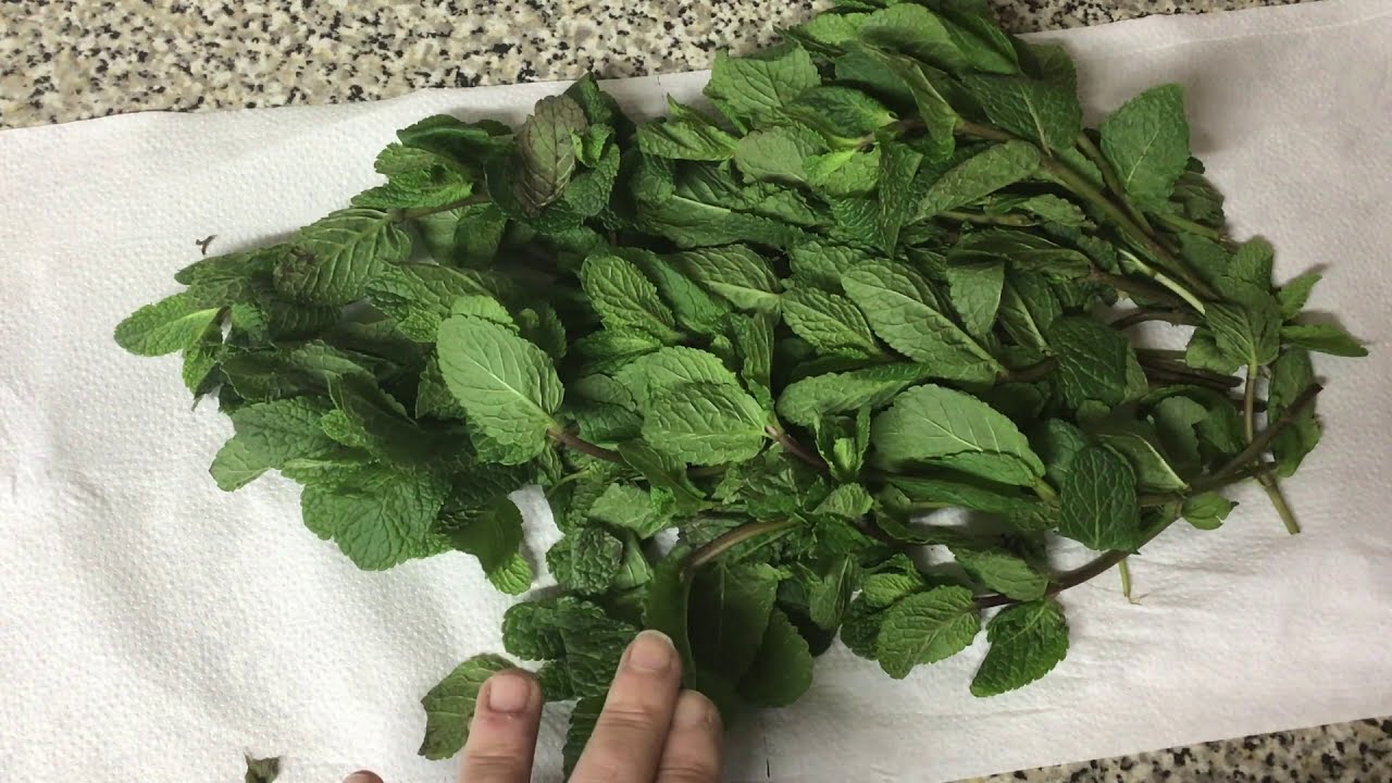 congelar hierbabuena y otras plantas aromaticas