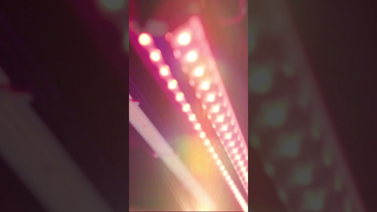 LUMATEK EU | 50W FAR-RED LED BAR #shorts