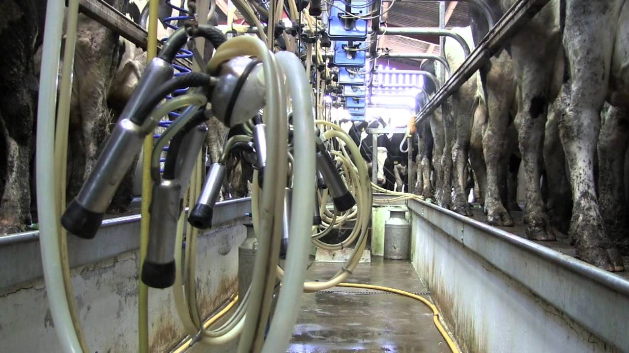 Anger at threat of farmgate milk price cut