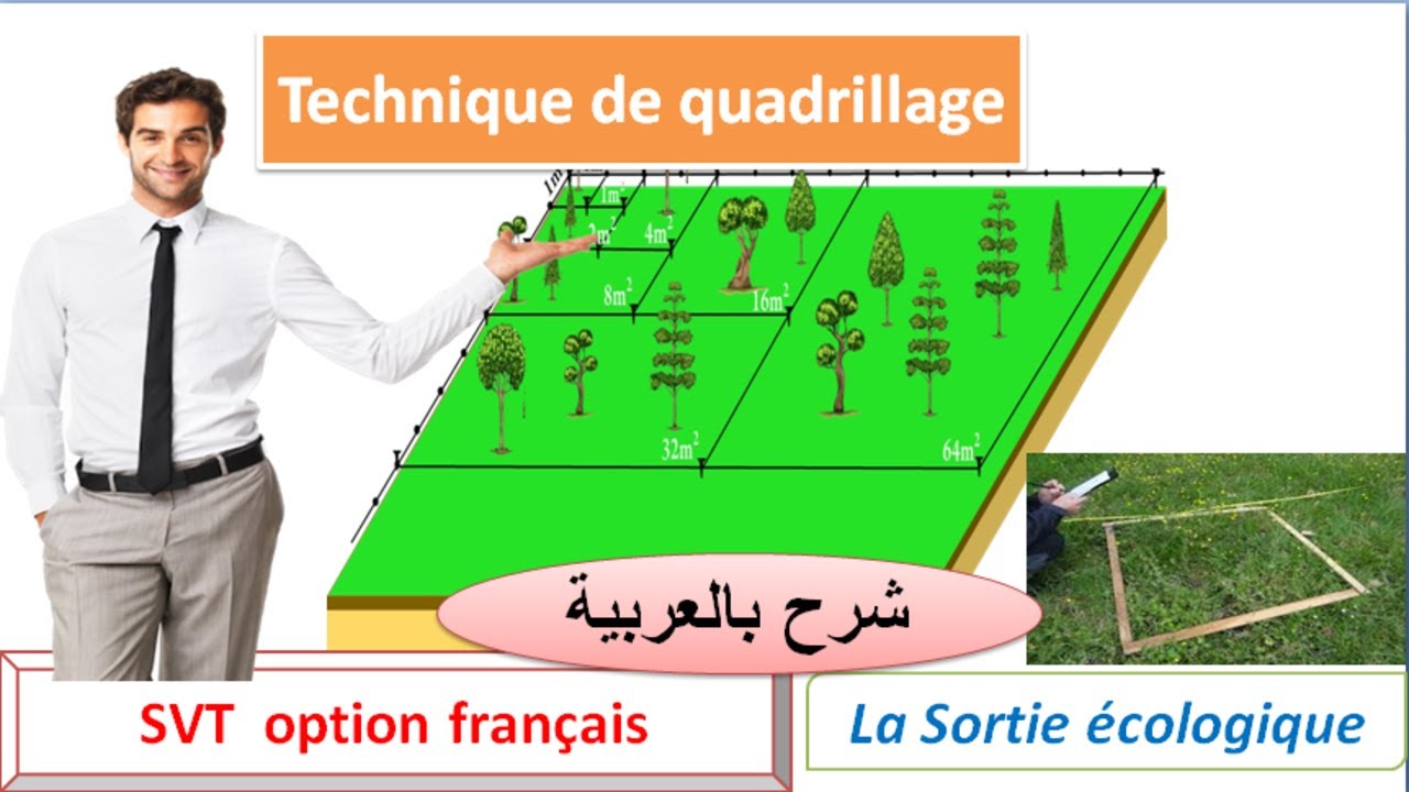 Technique de quadrillage : sortie écologique svt tronc commun science option français (شرح بالعربية)
