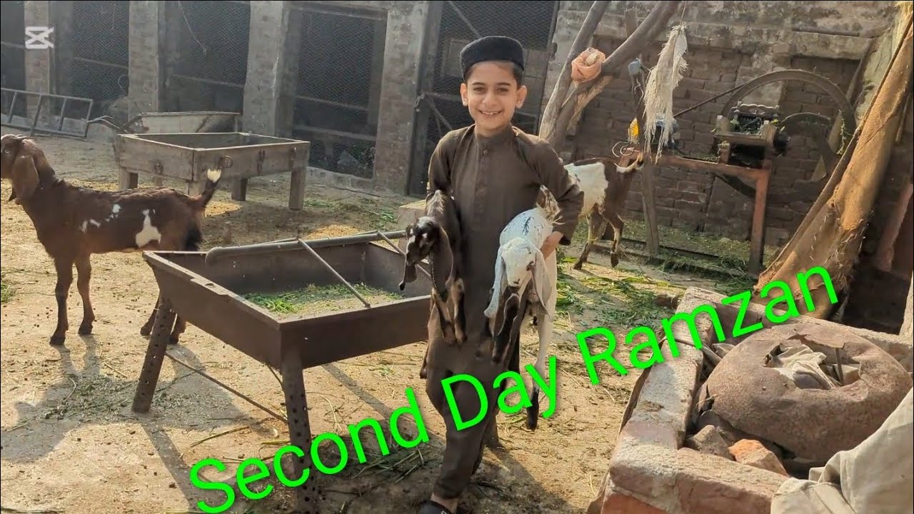 @Qurbani Lover Subscribe My YouTube channel Thanks watching 