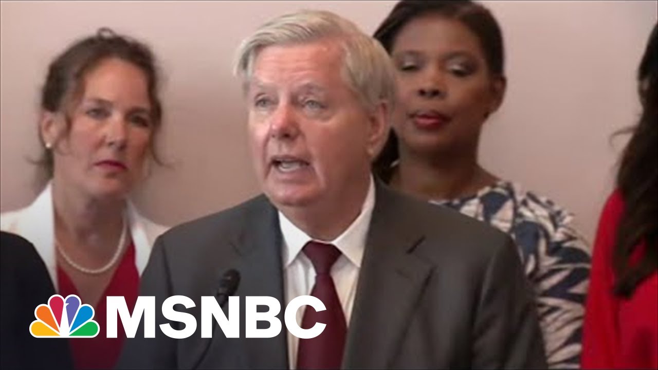 Democratic Lawmaker Shockingly Agrees With Fox On Graham Abortion Ban