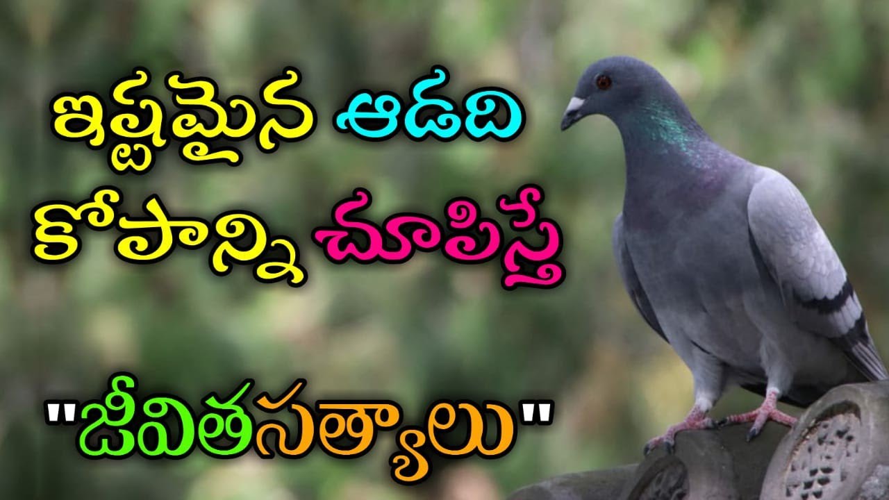 జీవిత సత్యాలు #317 |మంచి మాటలు|Inspirational quotes|Motivational quotes|సూక్తులు|Telugu quotes