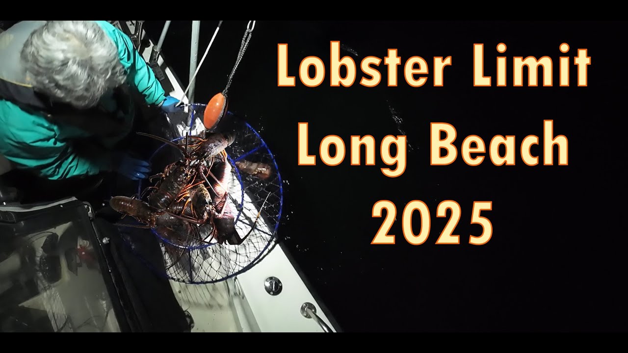 Lobster Fishing of 2025 - Long Beach California #lobsterfishing #hoopnetting
