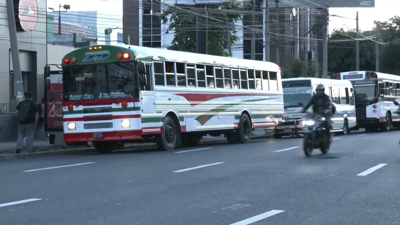 Nuevas unidades de trasporte colectivo podrían ingresar al mercado salvadoreño