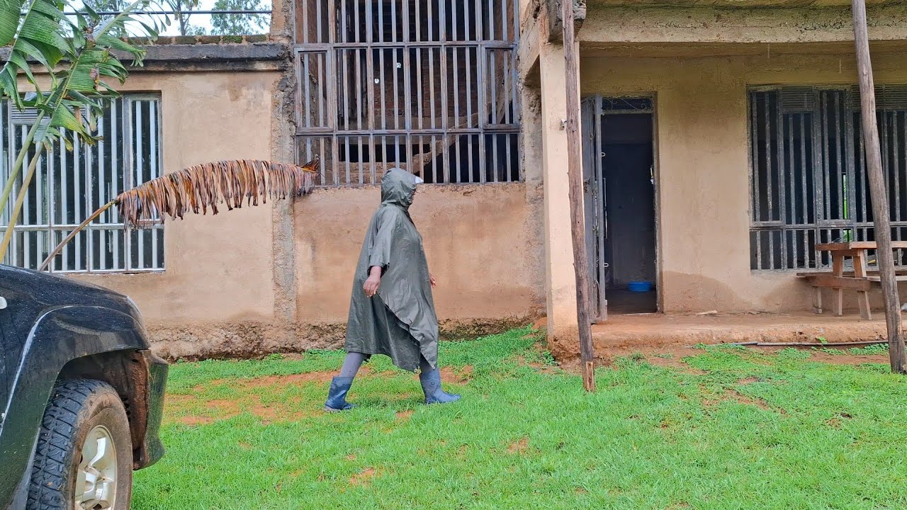 Peaceful Rainy Morning in my  Rural Home | Life in the Countryside 