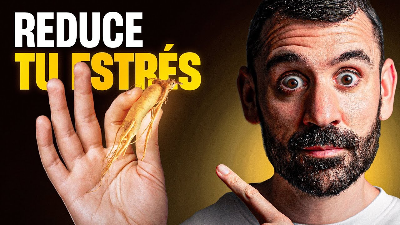 ¿PROBLEMAS DE ESTRÉS? Estos son los mejores  suplementos!