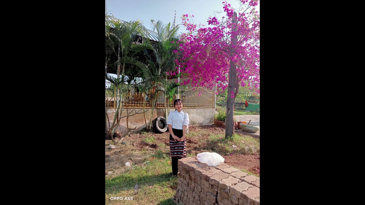 မလိုချင်ဘူး စစ်.. နီနီခင်ဇော်