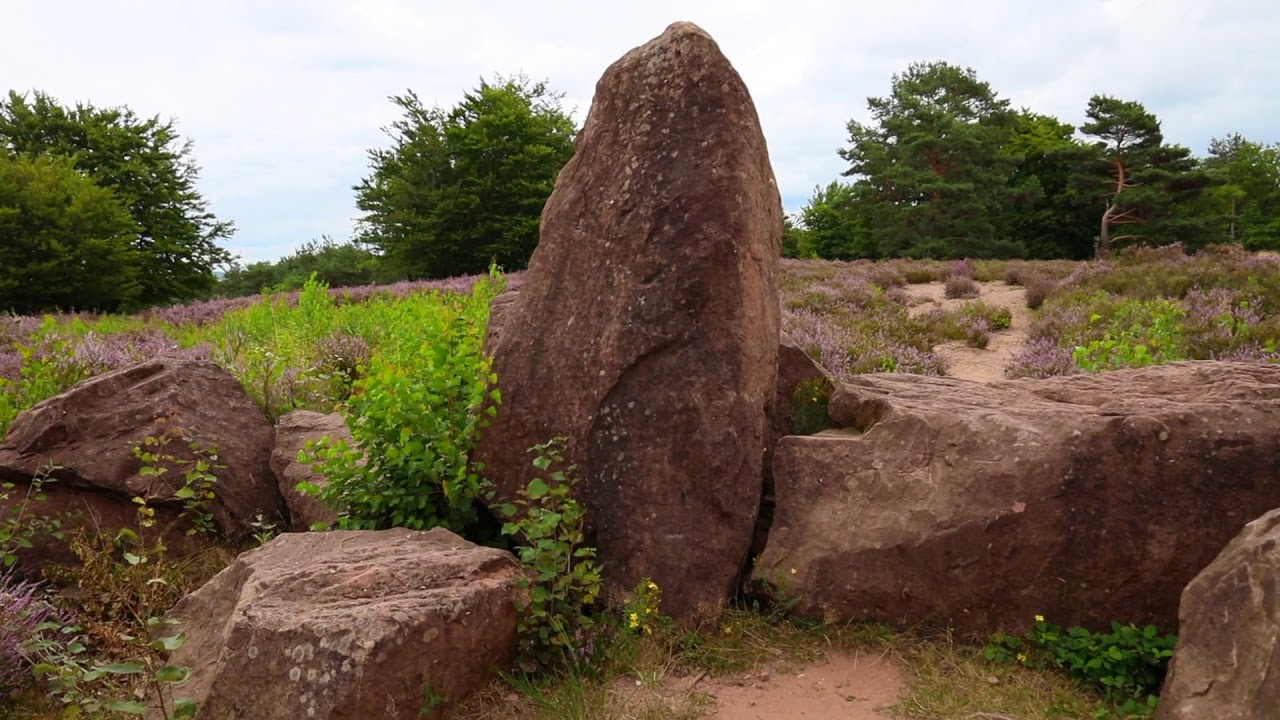 Mehlinger Heide