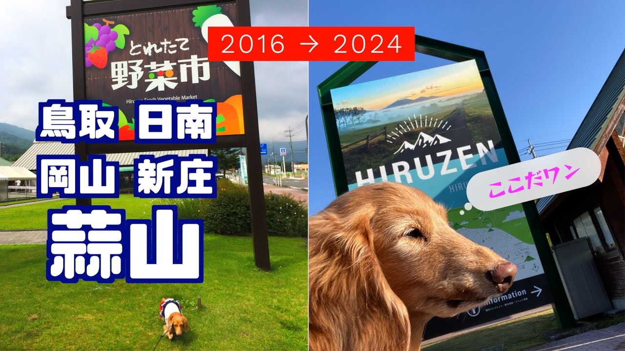 フリードプラス 車中泊【 鳥取日南 岡山新庄 蒜山 】道の駅にちなん日野川の郷 道の駅がいせん桜新庄宿  道の駅風の家 道の駅蒜山高原