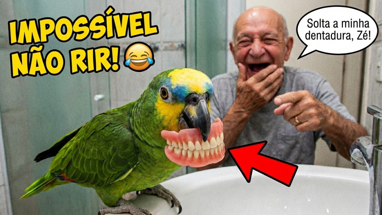 TENTE NÃO RIR: Papagaios Que Passaram de Todos os Limites!