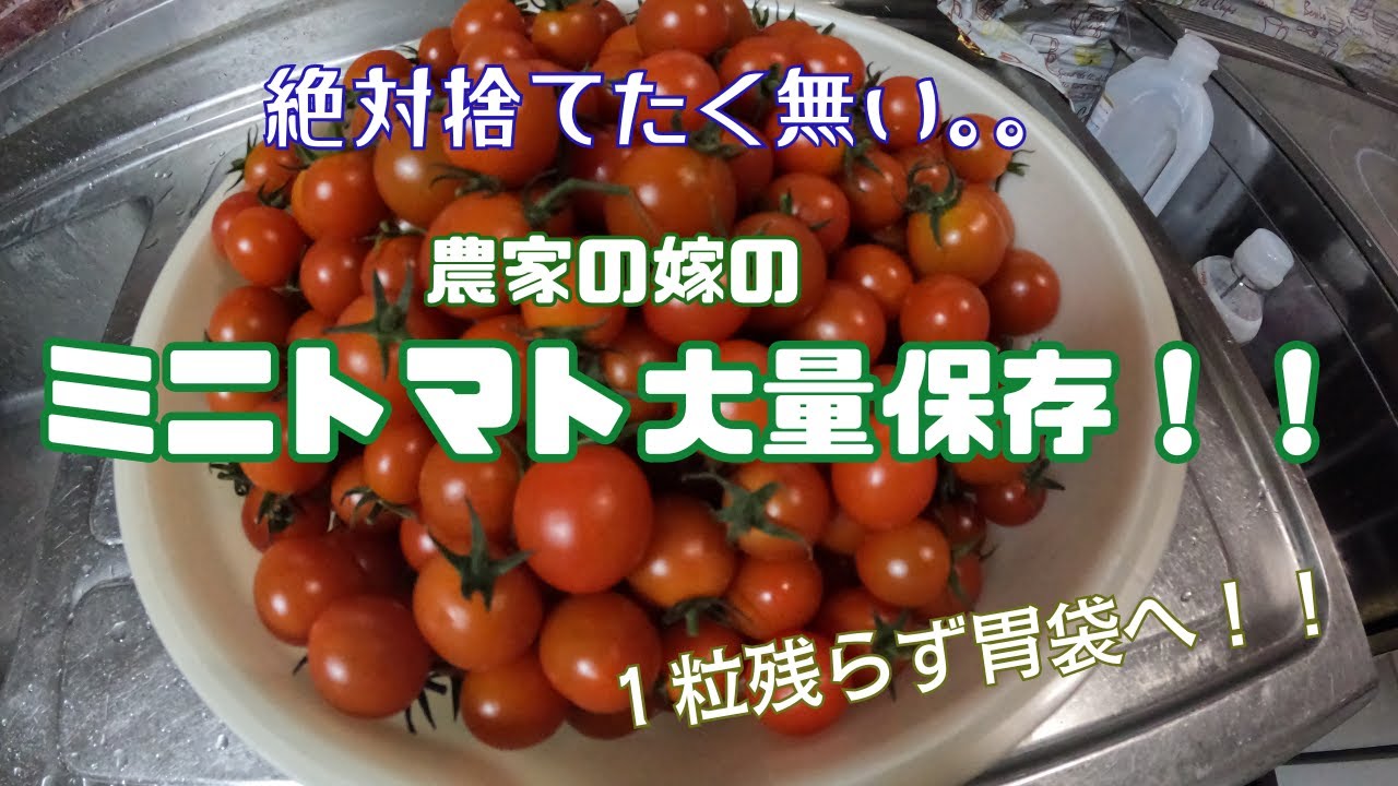〜ミニトマト大量保存！編〜