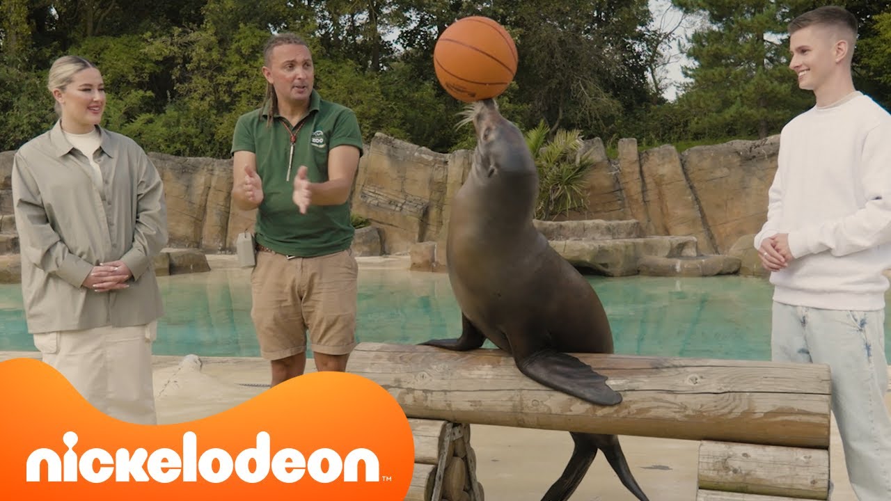Explore the Blackpool Zoo and Sea Life Aquarium with Lee and Ellie! | Nickelodeon UK